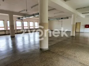 Pronájem obchodního prostoru, Bílovice, 212 m2