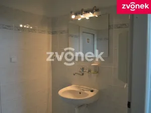 Pronájem obchodního prostoru, Bystřice pod Hostýnem, 270 m2
