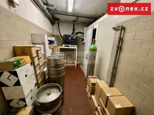 Prodej obchodního prostoru, Holešov, Novosady, 500 m2