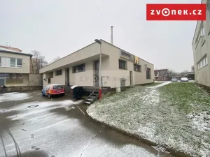 Prodej obchodního prostoru, Holešov, Novosady, 500 m2