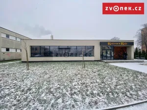 Prodej obchodního prostoru, Holešov, Novosady, 500 m2