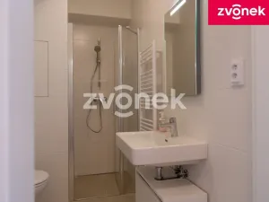 Prodej bytu 1+kk, Zlín, Zálešná II, 31 m2