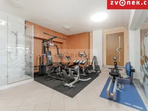 Prodej vily, Hranice - Hranice I-Město, 540 m2