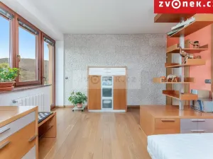 Prodej vily, Hranice - Hranice I-Město, 540 m2