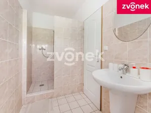 Prodej ubytování, Fryšták, Dolnoveská, 400 m2