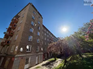 Prodej bytu 1+1, Most, tř. Budovatelů, 35 m2