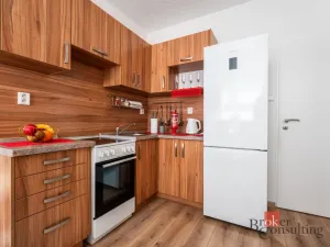 Prodej bytu 1+1, Ostrava - Mariánské Hory, Korunní, 48 m2