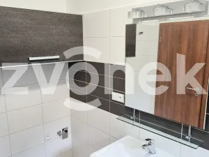 Pronájem rodinného domu, Zlín, Lešenská, 150 m2