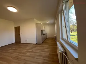 Prodej bytu 1+kk, Hodonín, Lipová alej, 39 m2
