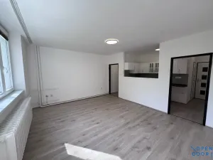 Prodej bytu 1+kk, Meziboří, B. Němcové, 35 m2