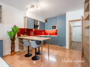 Pronájem bytu 2+kk, Praha - Libeň, Davídkova, 57 m2