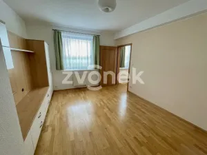 Pronájem bytu 3+kk, Zlín, Plesníkova, 118 m2