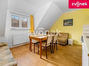 Prodej chalupy, Velké Karlovice, 250 m2