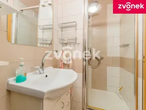 Prodej rodinného domu, Velké Karlovice, 250 m2