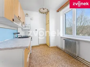 Prodej bytu 2+1, Bojkovice, 52 m2