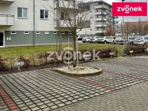 Pronájem garáže, Uherské Hradiště, Zahrádky, 14 m2