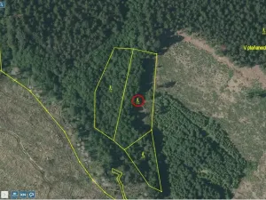 Prodej lesa, Načeradec - Horní Lhota, 3382 m2