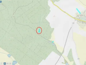 Prodej lesa, Načeradec - Horní Lhota, 3382 m2