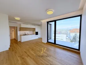 Pronájem bytu 1+kk, Olomouc, Ostrovní, 45 m2