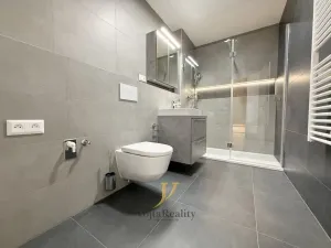 Pronájem bytu 1+kk, Olomouc, Ostrovní, 45 m2