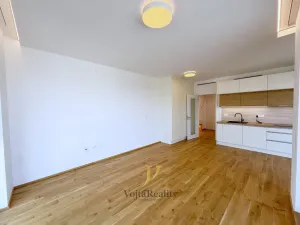 Pronájem bytu 1+kk, Olomouc, Ostrovní, 45 m2