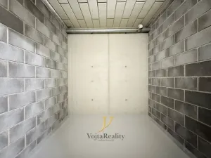 Pronájem bytu 1+kk, Olomouc, Ostrovní, 45 m2