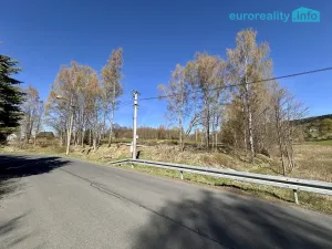 Prodej pozemku pro bydlení, Bublava, 1548 m2