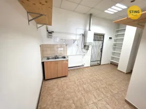 Pronájem obchodního prostoru, Opava, Pekařská, 55 m2