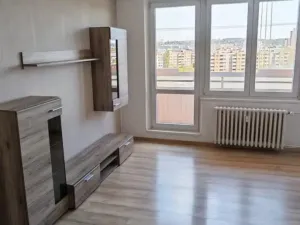 Pronájem bytu 1+kk, Ostrava - Moravská Ostrava, Lechowiczova, 30 m2