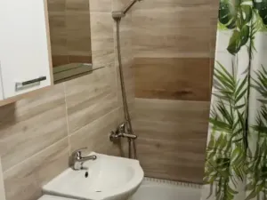 Pronájem bytu 1+kk, Ostrava - Moravská Ostrava, Lechowiczova, 30 m2