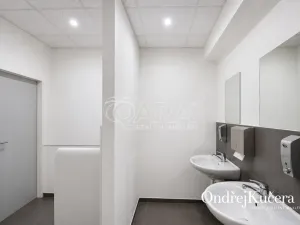 Pronájem skladu, Kosmonosy, 400 m2