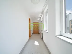 Pronájem bytu 1+kk, Praha, Hartigova, 28 m2