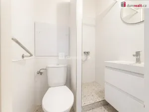 Pronájem bytu 1+kk, Ústí nad Labem - Bukov, 17. listopadu, 21 m2