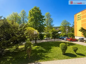 Pronájem bytu 1+kk, Ústí nad Labem - Bukov, 17. listopadu, 21 m2