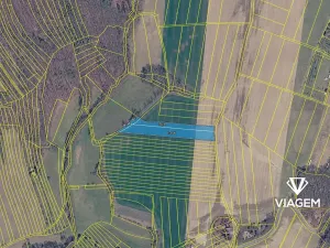 Prodej pole, Dobrkovice, 6868 m2