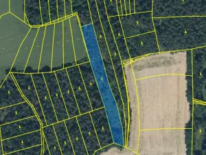 Prodej lesa, Blížejov - Lštění, 4624 m2