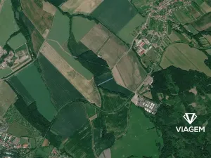 Prodej pole, Loukov, 2986 m2