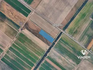 Prodej pole, Dřísy, 3858 m2