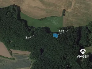 Prodej lesa, Dolní Bousov, 845 m2