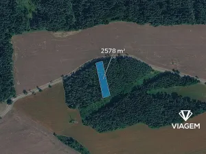 Prodej lesa, Hradiště, 2578 m2