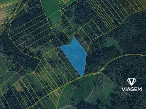 Prodej lesa, Hradiště, 10326 m2