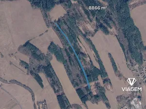 Prodej lesa, Slavičín, 8866 m2