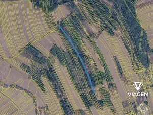 Prodej lesa, Slavičín, 8866 m2