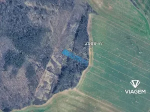 Prodej lesa, Chudčice, 2989 m2