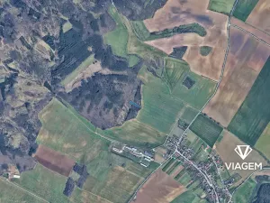 Prodej lesa, Chudčice, 2989 m2