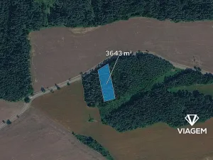 Prodej lesa, Hradiště, 3643 m2