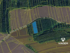 Prodej lesa, Hradiště, 3643 m2