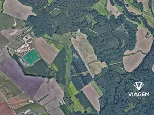 Prodej lesa, Břeclav, 3435 m2