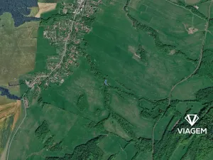 Prodej lesa, Ženklava, 1238 m2