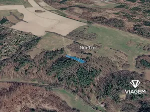 Prodej podílu lesa, Lipová, 827 m2